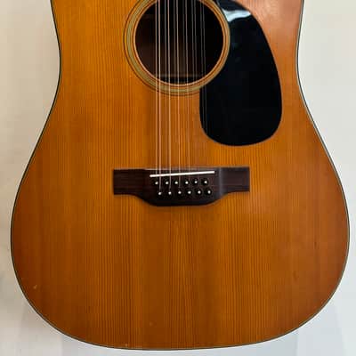 1969 Martin D12-20 & Hardshell Case image 1