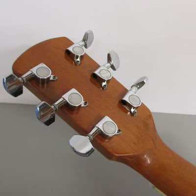 Asheville Single Cutaway Acoustic Guitar image 11