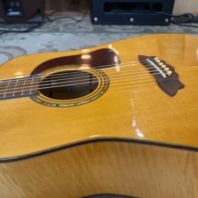 Washburn D48 SW Acoustic image 10