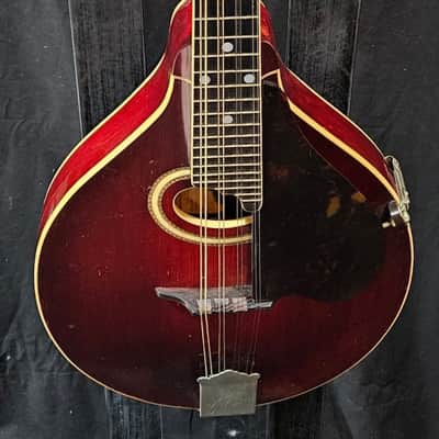 Gibson A4 Mandolin 1920's (USED) image 1