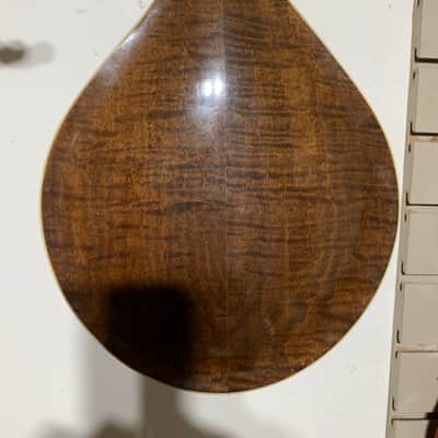 Lyon & Healy Style C Mandolin 1920 image 3