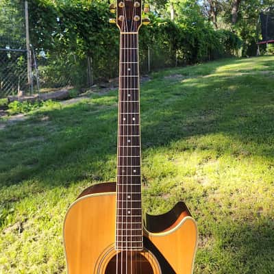 Yamaha LL-5-C image 10