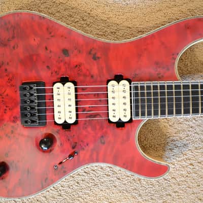 Mayones Regius 25th Anniversary image 2