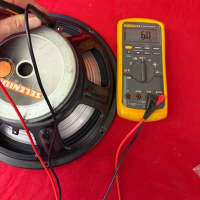 Selenium 12” Speaker 2004 image 7