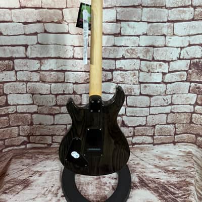 PRS SE Swamp Ash Special - Charcoal image 8
