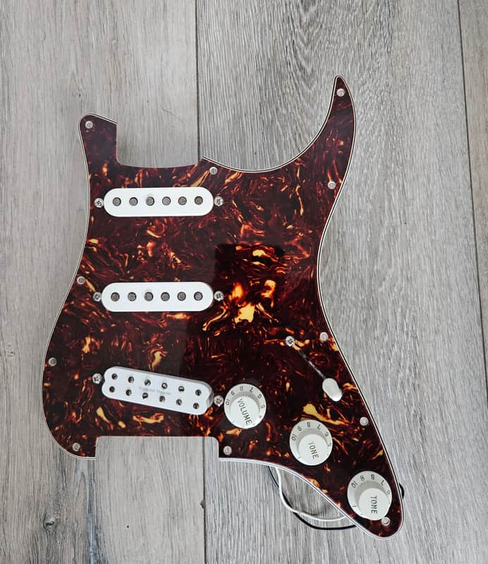 Fender Loaded Pickguard 2007 image 1