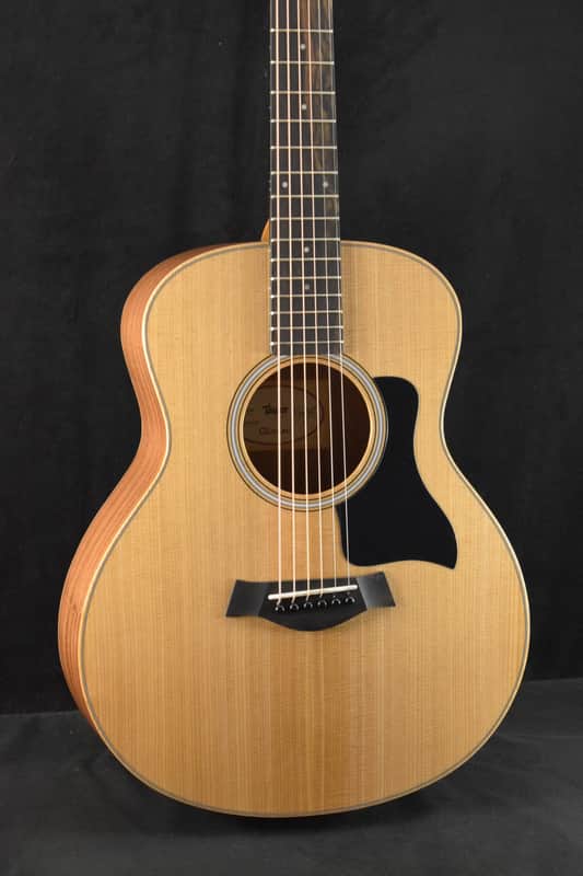 Taylor GS Mini image 1