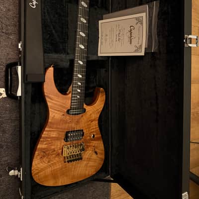 Caparison Dellinger-SH-BM Custom Line 2025 - Very cool image 1