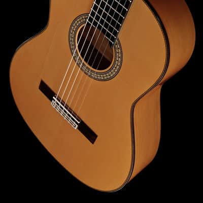 Juan Hernandez Profesor Spruce Flamenca Spanish Flamenco Guitar image 10