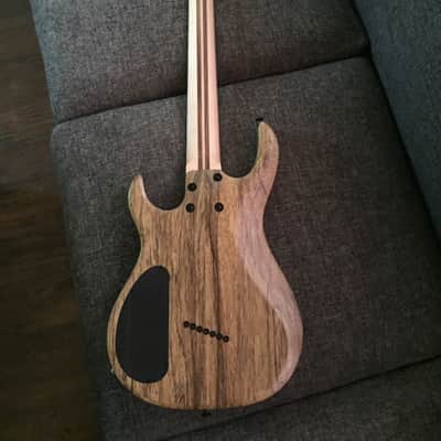 Kiesel Carvin Aries AM7 Multiscale New! 2016 Buckeye Burl image 12