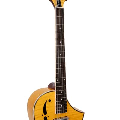 Mojo: Round-neck Resonator Guitar with Pickup and Case image 5