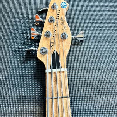 Alien Audio Constellation 5 String Bass image 4