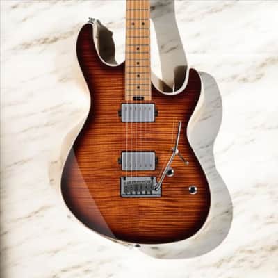 Cort G290 FAT II Discover Ultimate Playability: The Cort G290 FAT II with Roasted Maple Neck & Fretboard in Antique Violin Burst image 2