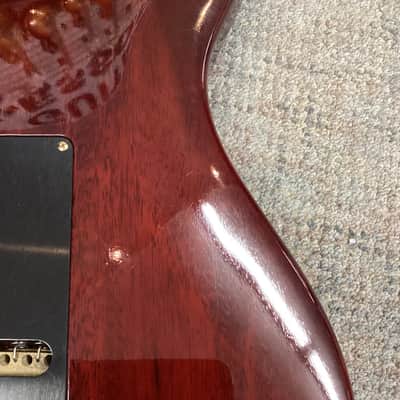 PRS 20th Anniversary Custom 22 Tremolo Artist Package image 12