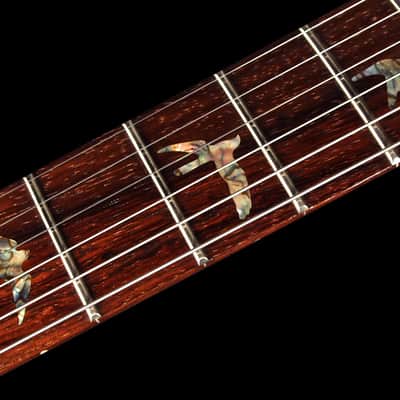 2007 / 2013 Paul Reed Smith PRS Custom 24 Artist Package Brazilian Tortoise Shell image 6
