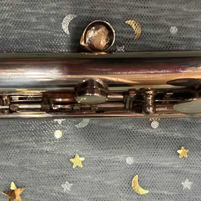 WILLIAM S. HAYNES Db PICCOLO 1923 - STERLING SILVER image 12