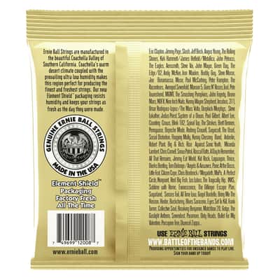 Ernie Ball 2008 Earthwood Rock & Blues con Sol Liscio 80/20 Bronze 11-52 image 2