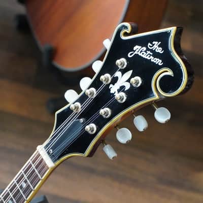 Gibson Flatiron F-Festival Mandolin Cremona Burst image 10