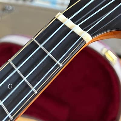 Hive Hornet Tenor Ukulele #13015 – Spruce / Mahogany – Gold Waverly Tuners – Ameritage Case image 6