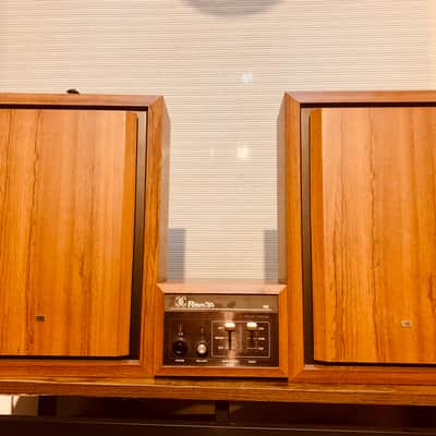 Roland Revo 30 1976 - ‘ Univibe ‘