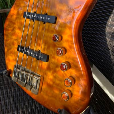 Alleva-Coppolo 1600 Limited Edition Bass 2007 image 14