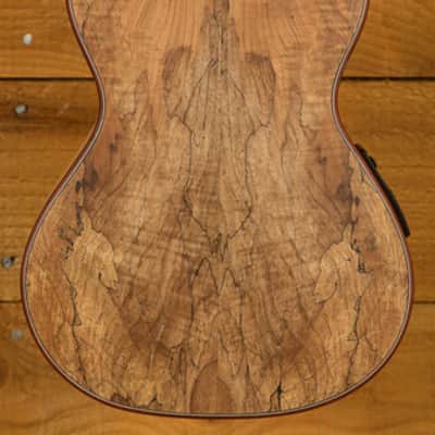 Cordoba 24T-CE Spruce Tenor Electro Ukulele | Natural image 4