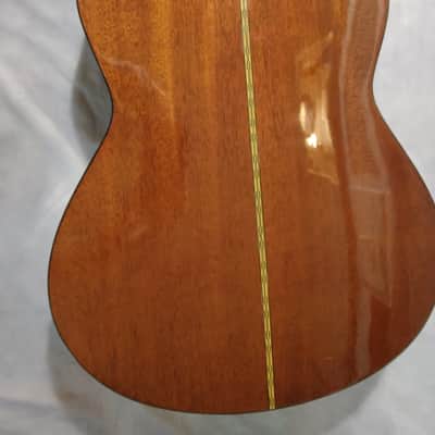 Epiphone Classical Acoustic Guitar, Model C40, Nylon Strings 1990s - Natural image 11