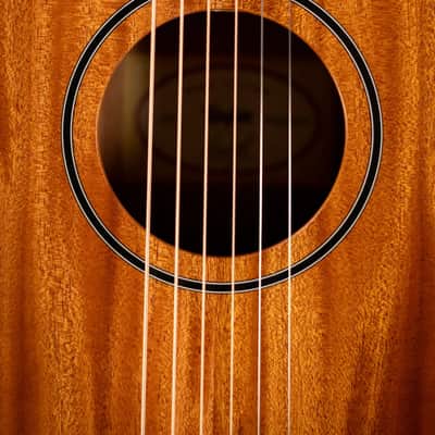 Taylor BT2 Baby Taylor Acoustic Guitar with Gig Bag image 10