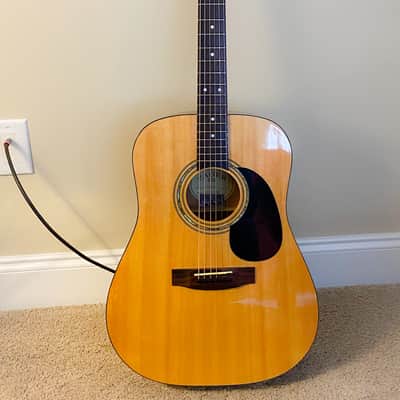 Zager ZAD20 - Natural-EZ Play acoustic guitar with premium hard case image 1