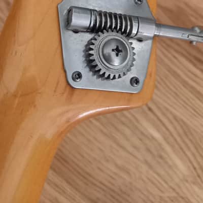 Fender Telecaster Bass JV 1983 image 9