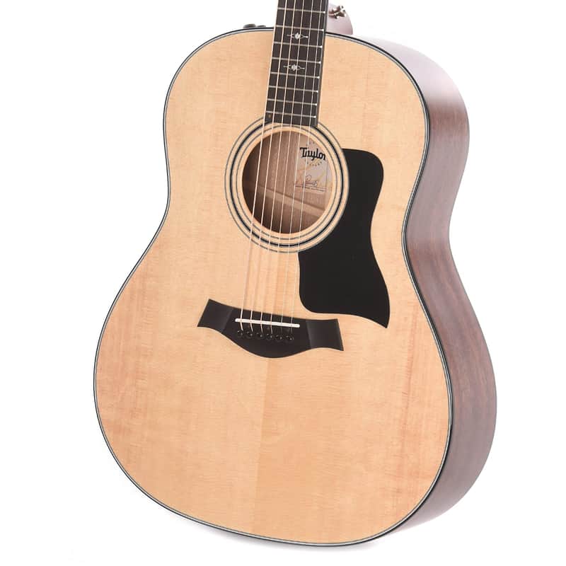 Taylor 317e with V-Class Bracing image 3