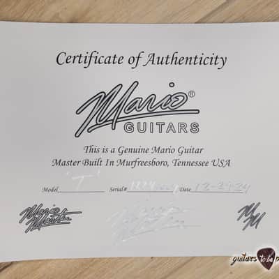 Mario Martin Guitars Pine T-Style w/ Lollar P-90 & J Street – Lake Placid Blue image 11
