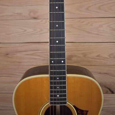 Fender LS-20 90's - East Indian Rosewood/Spruce image 4