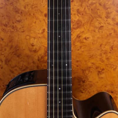 Takamine TAN46C - Japan 2008 image 10