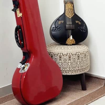 TRAVEL SITAR- HARD CASE INCLUDED image 8