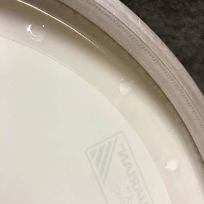 NOS Aquarian 8" Focus X Power Dot Coated White Drum Head TCFXPD8 image 12