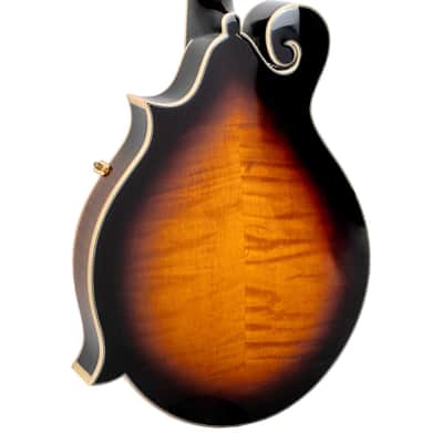 Gold Tone GM-70+ Professional Craved Solid Spruce Top Maple Neck F-Style 8-String Mandolin w/Hard Case image 2