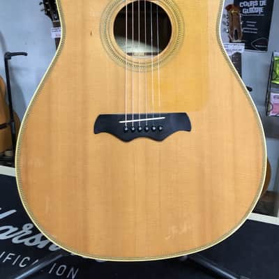 Très rare guitare Bozo Podunavac Bell Western B-80 de 1975 dans son étui d'origine! VIDEO image 3