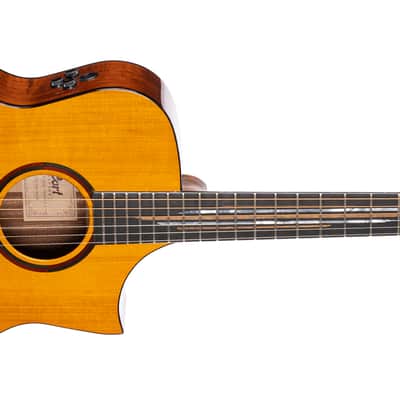 Cort LUXEII Luxe Series Frank Gambale Concert Body Mahogany Nek 6-String Acoustic-Electric Guitar w/Hard Case image 6