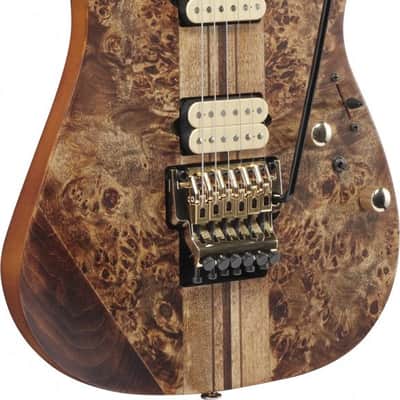 Ibanez RGT1220PB-ABS Premium RGT Electric Guitar 6-String - Antique Brown Stained + Gig Bag image 14