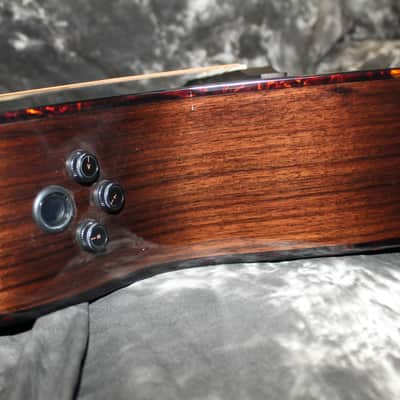 Immagine Breedlove Performer Pro Concert T CE 2024 - Tobacco Burst - 10
