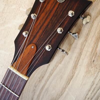 2015 Echopark Custom Crow Case Study Boutique Semi-Hollowbody Electric Guitar w/ ohsc, QOTSA image 4