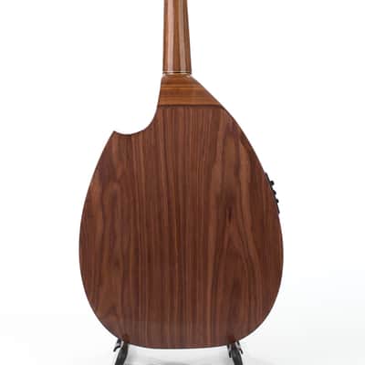 Electric Oud Cutaway Semi Acoustic Oud image 9