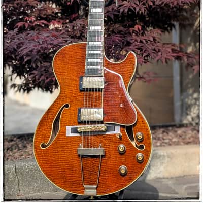 Ibanez AG95MG-DA Dark Amber image 1