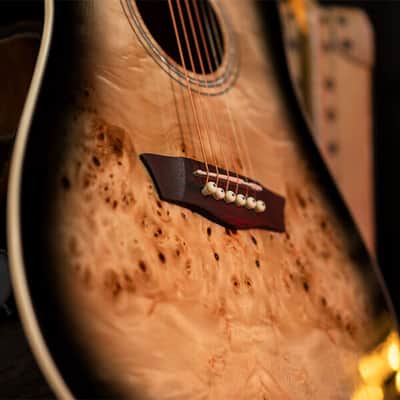 Washburn Deep Forest Burl D Black Fade image 6