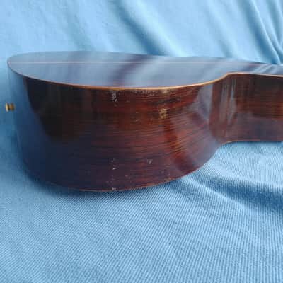 all original 1892 Washburn Parlor Adirondack Top Brazilian rosewood image 13