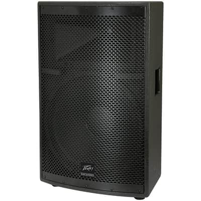 Peavey SP 2 2-Way 15" Speaker Regular image 4