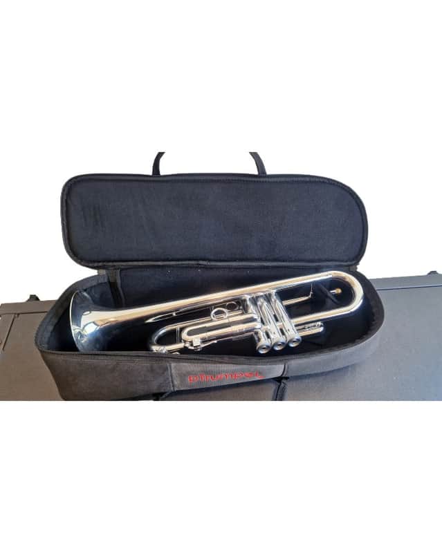 pTrumpet Silver - Excellent w/ Soft Case image 1