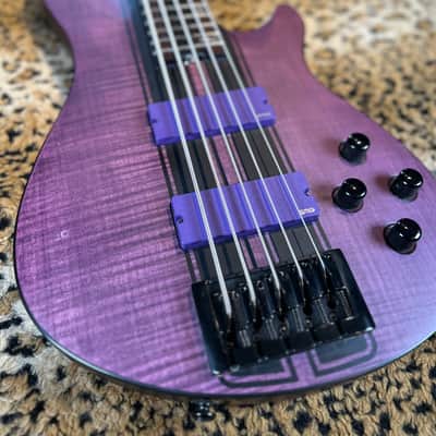 Schecter C-5 GT 2022 - Present - Satin Trans Purple image 2