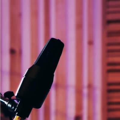 Liquid Audio sE Electronics X1 A Large-diaphragm Condenser Microphone Bundle w/Pig Hog PHM10 8mm Mic Cable Polishing Cloth image 7